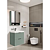 Riva Yasumi LED-Spiegelschrank Yasumi/Lynn (B x H: 60 x 76,8 cm, Sage, Spanplatte) | BAUHAUS