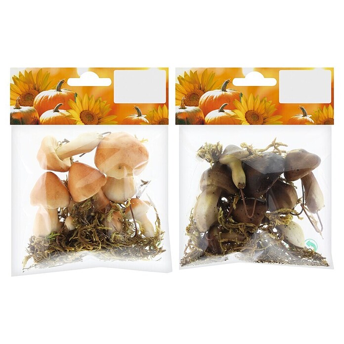 Geroma Dekoelement Styropor Pilze (Braun, B x L: 6 x 3 cm) | BAUHAUS