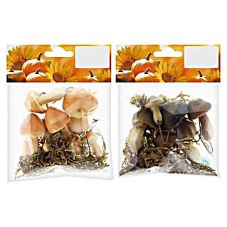 Geroma Dekoelement Styropor Pilze (Braun, B x L: 6 x 3 cm)