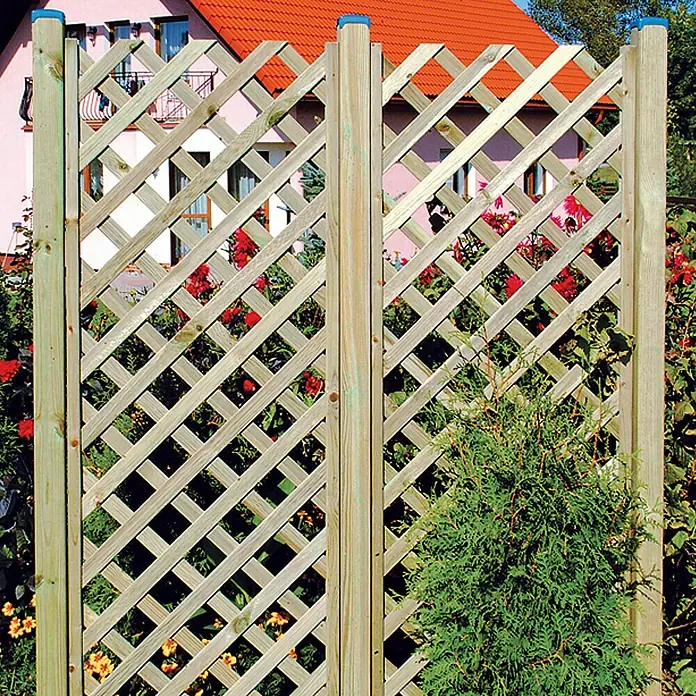 Rankgitter Diagonal - B x H: 60 x 180 cm - Hölzerner Gartenzaun mit Rautenmuster und blauen Akzenten, umgeben von üppigem Grün und Blumen.