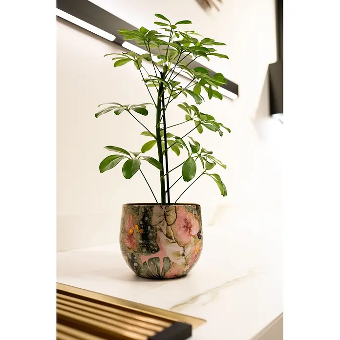 Ter Steege Übertopf rund Monstera Mystery - Ø x H: 19 x 17 cm, Metall, Rosa/Grün - Eine lebendige Grünpflanze in einem runden Topf mit floralem Goldmuster auf einer hellen Theke.