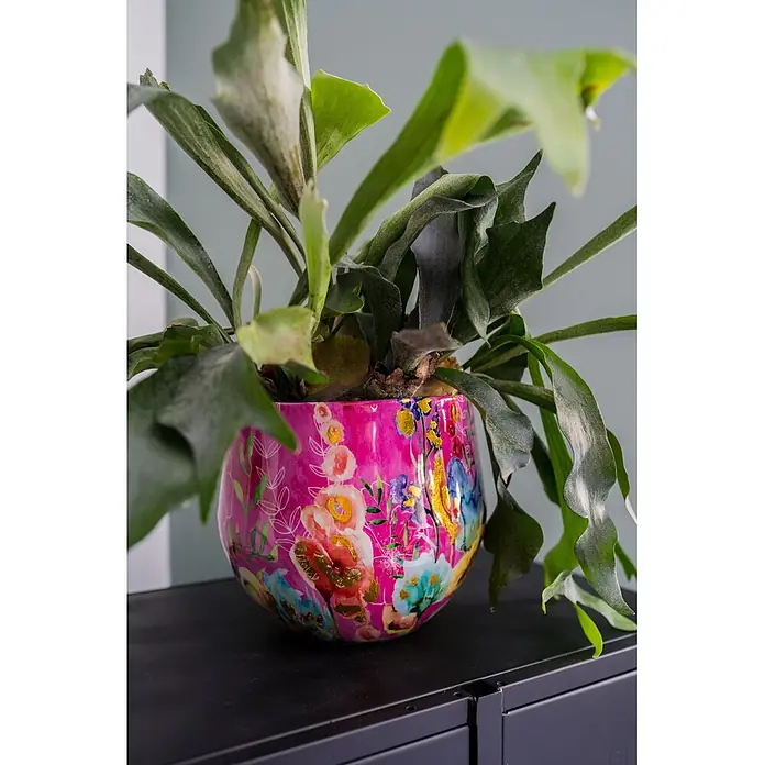 Ter Steege Übertopf rund Fiesta Fuchsie - Ø x H: 17 x 15 cm, Metall, Rosa/Pink - Rosafarbener Topf mit lebhaftem Blumenmuster, der einen Geweihfarn auf einer dunklen Oberfläche hält.