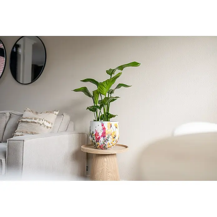 Ter Steege Übertopf rund Floral White - Ø x H: 25 x 25 cm, Metall, Cremeweiß - Eine grüne Blattpflanze in einem weißen Topf mit bunten Blumenmustern auf einem hellen Holztisch im Wohnzimmer.