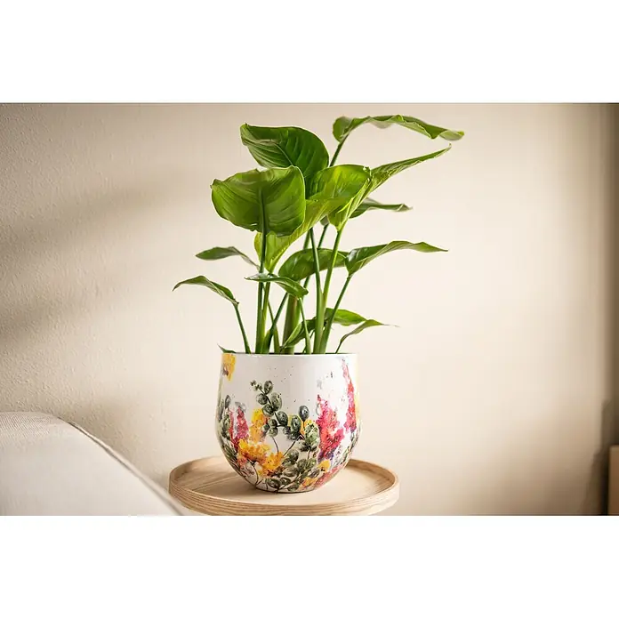 Ter Steege Übertopf rund Floral White - Ø x H: 15 x 14 cm, Metall, Cremeweiß - Weißer Keramiktopf mit bunten Blumen- und Blattmustern, der eine Grünpflanze enthält, auf einem hellen Holzständer.