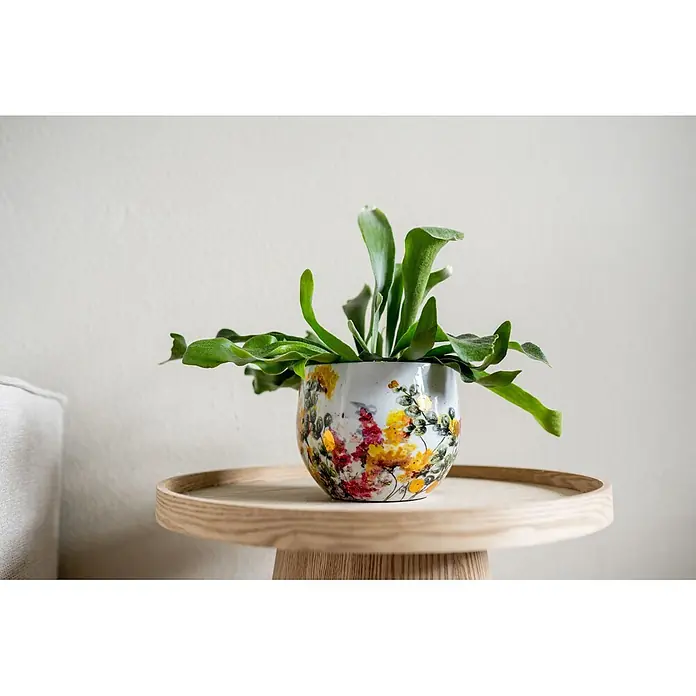 Ter Steege Übertopf rund Floral White - Ø x H: 13 x 13 cm, Metall, Cremeweiß - Eine grüne Zimmerpflanze in einem weißen Keramiktopf mit bunten Blumenmustern und Goldakzenten, auf einem hellen Holztisch.