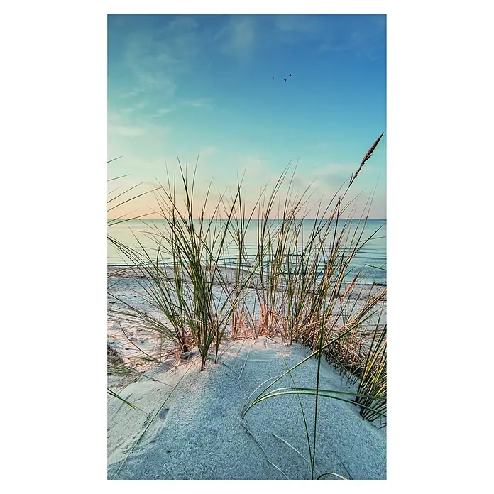 SanDesign Alu-Verbundplatte - 150 x 250 cm, Nordsee Düne 2 - Sandstranddüne mit hohem grünem Gras im Vordergrund, ruhigem Meer und blauem Himmel mit fliegenden Vögeln im Sonnenuntergang.