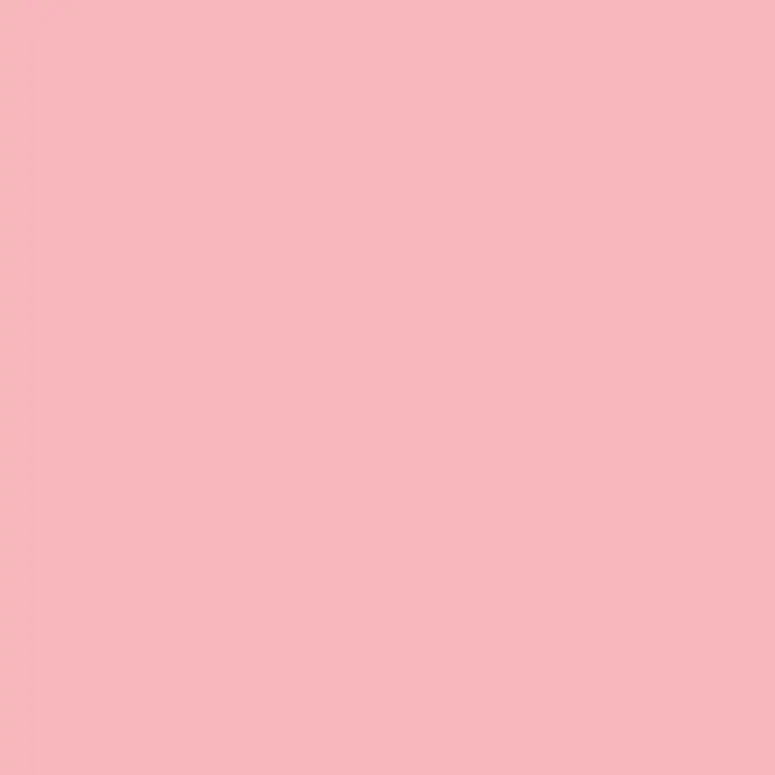 SanDesign Alu-Verbundplatte - 125 x 250 cm, Bright Pink - Einfarbiges Rosa.