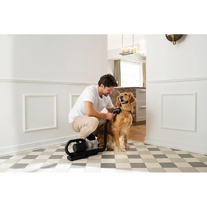 Nilfisk Aspirador de batería S1 Pet Care - 29,6 V, 1 batería, Volumen de recipiente: 0,7 l - Aspiradora negra para el cuidado de mascotas, utilizada por un hombre para cepillar un golden retriever.