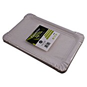 Pappteller (20 Stk., L x B: 20 x 13 cm) | BAUHAUS
