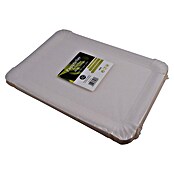 Pappteller (20 Stk., L x B: 23 x 16 cm) | BAUHAUS