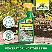 Neudorff BioKraft Grundstoff Essig AF (1 l) | BAUHAUS