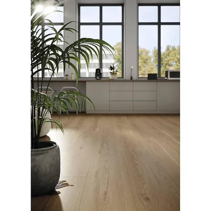 Krono Original Laminat Durastar - Smoked Montanara Oak, Landhausdiele, 2.003 x 245 x 9 mm - Heller Holzfußboden in einem geräumigen, sonnendurchfluteten Raum mit einer modernen Küche und einer Grünpflanze im Vordergrund.