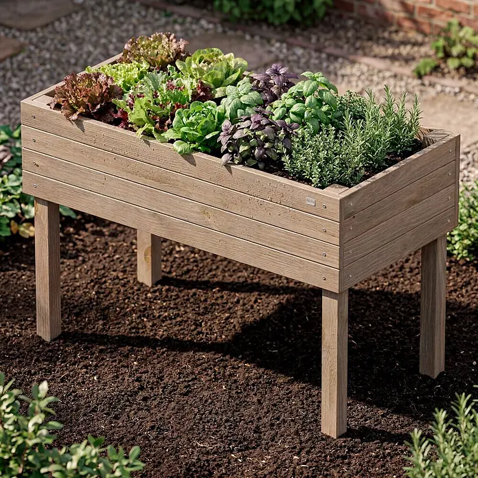 Siena Garden Hochbeet Max - 119 x 59 x 79 cm, Holz, Grau - Ein Hochbeet in heller Holzoptik, gefüllt mit verschiedenen grünen und lila Salaten und Kräutern, steht auf Erde in einem Garten.