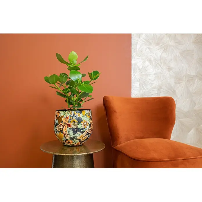 Ter Steege Übertopf rund Berry - Ø x H: 15 x 12 cm, Metall, Blau/Orange - Farbenfroher, floral gemusterter Pflanzentopf mit Grünpflanze auf einem bronzenen Beistelltisch in einem modernen Raum.