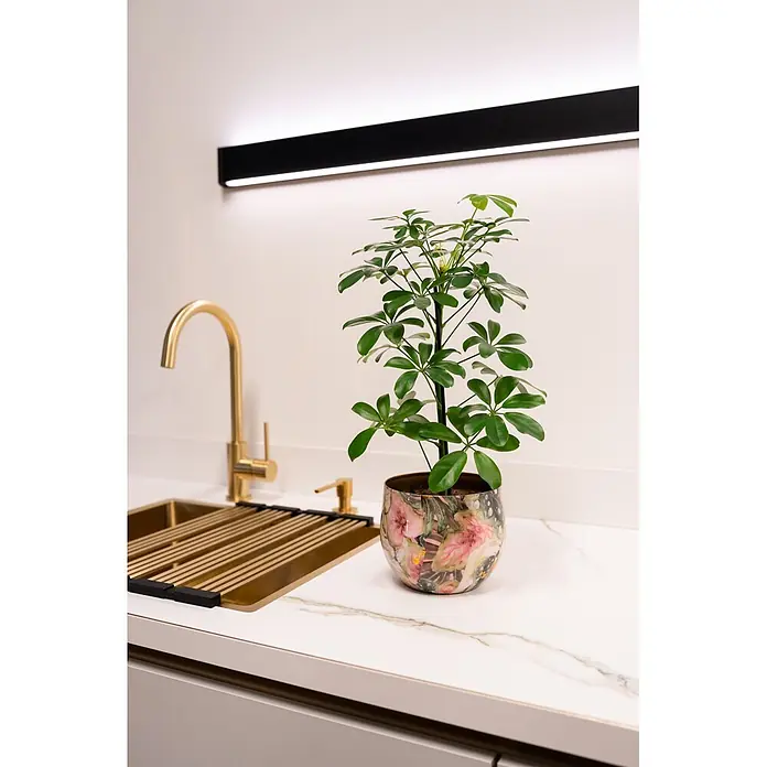 Ter Steege Übertopf rund Monstera Mystery - Ø x H: 19 x 17 cm, Metall, Rosa/Grün - Grüne Pflanze in einem Blumentopf mit Blumenmuster auf einer weißen Küchenarbeitsplatte.