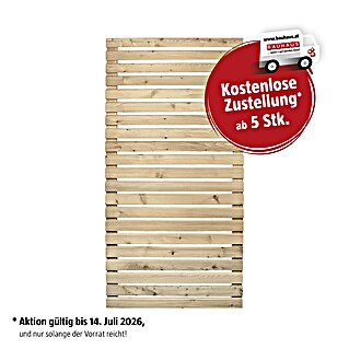 Sichtschutzelement Rhombus (B x H: 100 x 200 cm)