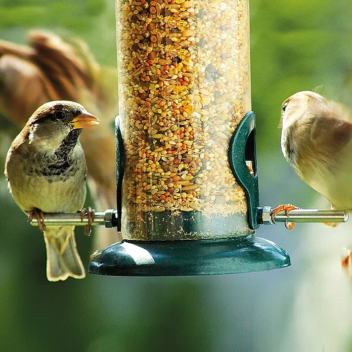 Dobar Futterspender Metall - 9,5 x 9,5 x 23 cm, Metall, Grün - Nahaufnahme eines gut gefüllten Vogelfutterautomaten mit mehreren Spatzen, die das Futter genießen.