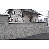 Zobec Zidak  (40 x 20 x 19 cm, Grafit) | 5698 - Mauersysteme/Abdeckplatten/Balus | FAEA - Gartenbaustoffe | FAE - Gartenbaustoffe | FA - Baustoffe | F - Baustoffe | BAUHAUS