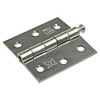 Dulimex Deurscharnier (b x h: 63 x 63 mm, Zilver)