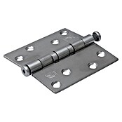 Dulimex Deurscharnier (b x h: 89 x 89 mm, RVS) | BAUHAUS