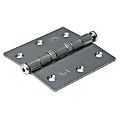 Dulimex Deurscharnier Kogellager Recht (b x h: 76 x 76 mm, Zilver) | BAUHAUS