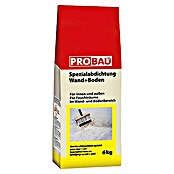 Probau Spezialabdichtung Wand+Boden (6 kg, Geeignet für: Steinchenteppich)