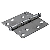 Dulimex Deurscharnier (b x h: 76 x 76 mm, RVS) | BAUHAUS