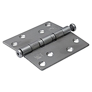 Dulimex Deurscharnier (b x h: 76 x 76 mm, RVS)