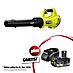 Ryobi ONE+ Maschinenpaket 