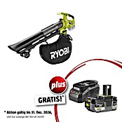 Ryobi ONE+ Maschinenpaket (Akku-Laubsauger & -Laubbläser RY18BVXA-0,18V, 4 Ah Akku & 2A Ladegerät) | BAUHAUS