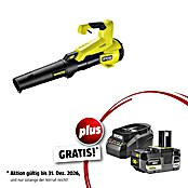 Ryobi ONE+ Maschinenpaket (Akku-Laubbläser RY18BLXC-0,18V, 4 Ah Akku & 2A Ladegerät) | BAUHAUS