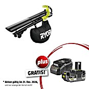 Ryobi ONE+ Maschinenpaket (Akku-Laubsauger OBV18,18V, 4 Ah Akku & 2A Ladegerät) | BAUHAUS