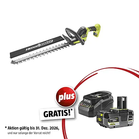 Ryobi ONE+ Maschinen-Set