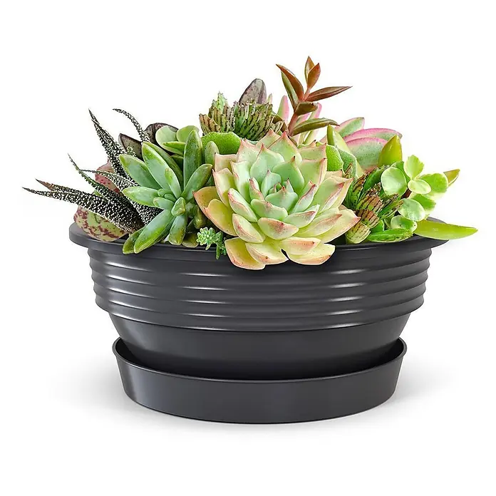 Plastard Pflanzschale rund Milano 3er Set mit Untersetzer in Anthrazit – Blumenschale - 3 Stk., Kunststoff, Anthrazit - Schwarzer geriffelter Pflanztopf mit verschiedenen grünen und rosa Sukkulenten auf passendem Untersetzer.