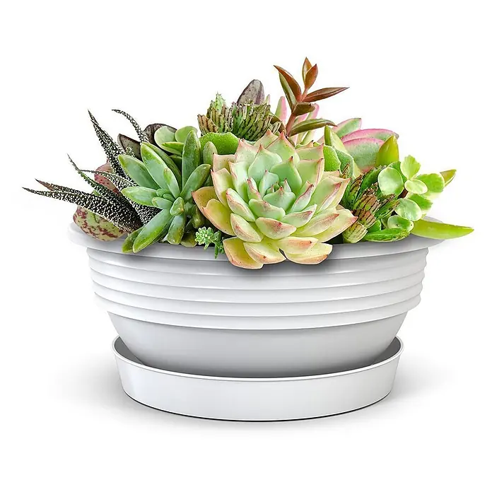 Plastard Pflanzschale rund Milano 3er Set mit Untersetzer in Weiß – Blumenschale - Außenmaß (Ø x H): 32 x 12,5 cm, Kunststoff, Weiß - Weißer gerippter Topf mit Untersetzer und lebendigem Arrangement verschiedener grüner und roter Sukkulenten.