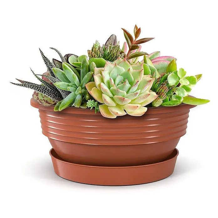 Plastard Pflanzschale rund Milano 3er Set mit Untersetzer in Terrakotta – Blumenschale - Außenmaß (Ø x H): 25 x 10 cm, Kunststoff, Terrakotta - Brauner gerippter Blumentopf mit passendem Untersetzer, gefüllt mit einer lebhaften Anordnung verschiedener Sukkulenten.