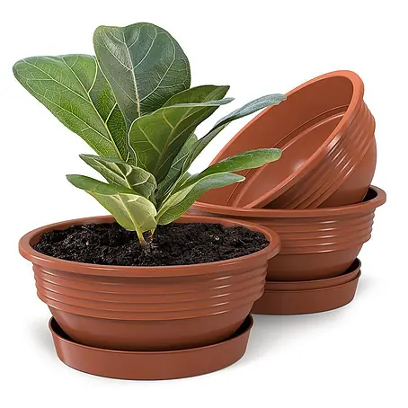 Plastard  Pflanzschale rund Milano 3er Set mit Untersetzer in Terrakotta – Blumenschale