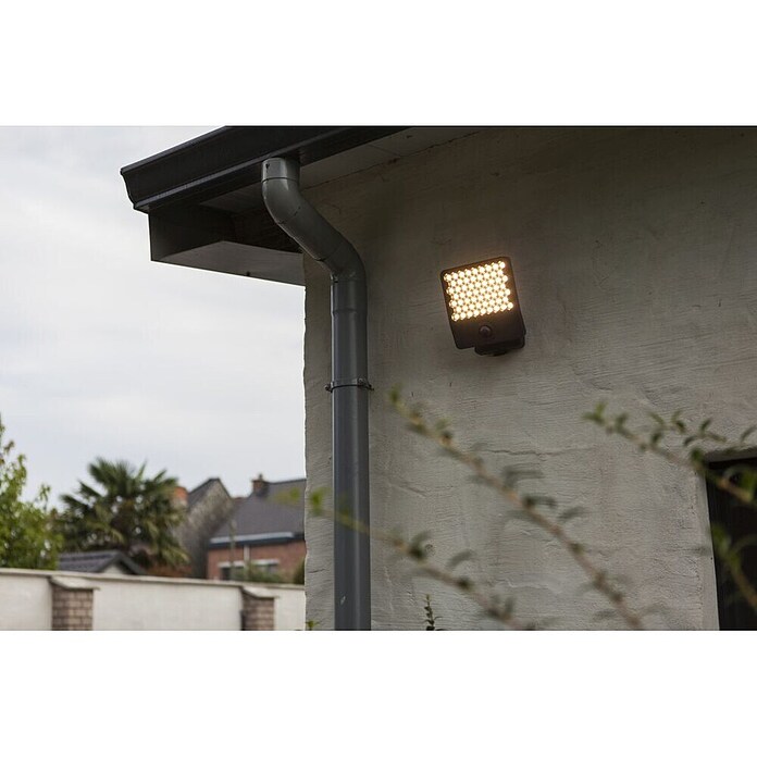 Lutec LED senzorska zunanja stenska svetilka Atlantis  (Do x Š x V: 22,4 x 20,1 x 12,4 cm, Siva) | 3079 - Wandleuchte outdoor mit Bewegungsmelder | CAJA - Outdoorleuchten Hochvolt | CAJ - Outdoorleuchten | CA - Beleuchtung | C - Elektro | BAUHAUS