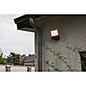 Lutec LED senzorska zunanja stenska svetilka Atlantis  (Do x Š x V: 22,4 x 20,1 x 12,4 cm, Siva) | 3079 - Wandleuchte outdoor mit Bewegungsmelder | CAJA - Outdoorleuchten Hochvolt | CAJ - Outdoorleuchten | CA - Beleuchtung | C - Elektro | BAUHAUS