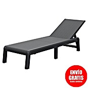 Keter Tumbona de jardín Mallorca (An x Pr: 58 x 187 cm, Grafito, Plástico, Respaldo regulable) | BAUHAUS