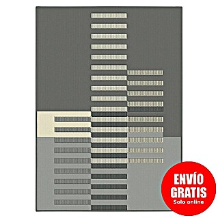 Alfombra de pelo corto Cuadrícula (Gris, 225 x 160 cm, 100% Poliéster)