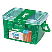 Spax Terasni vijak T-Star Plus  (Ø x Do: 5 x 60 mm, Plemenito nerjaveče jeklo A2, Gladka, 200 kos) | 1046 - Mehrzweckschrauben verpackt | AADB - Schrauben verpackt | AAD - Kleineisenwaren | AA - Eisenwaren | A - Eisenwaren | BAUHAUS