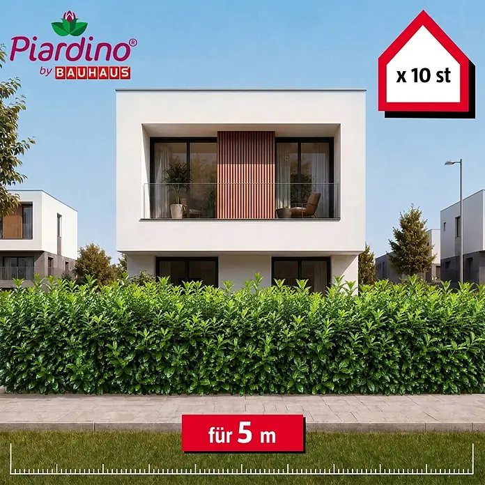 Piardino Kirschlorbeer Caucasica - 100 cm - 125 cm, Prunus laurocerasus 'Caucasica', 10 Stk. - Set aus 10 grünen Heckenpflanzen, ausreichend für 5 Meter, als üppige Begrenzung vor einem modernen Haus.