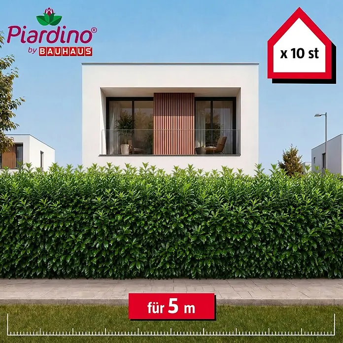 Piardino Kirschlorbeer Caucasica - 150 cm - 175 cm, Prunus laurocerasus 'Caucasica', 10 Stk. - Grüne Hecke von Piardino by BAUHAUS, 10 Pflanzen für 5 Meter Länge.