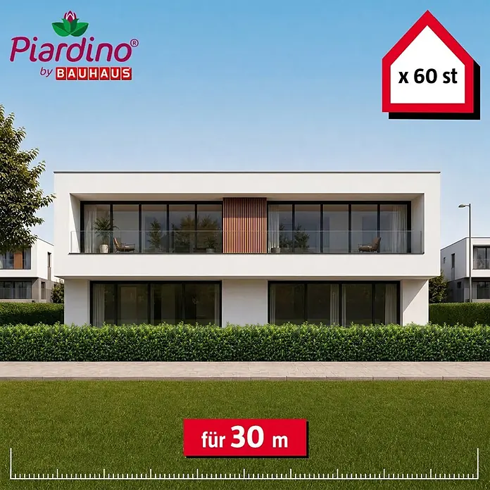 Piardino Kirschlorbeer Caucasica - 125 cm - 150 cm, Prunus laurocerasus 'Caucasica', 60 Stk. - Dichte grüne Hecke vor einem Haus, 60 Stück decken 30 Meter ab.