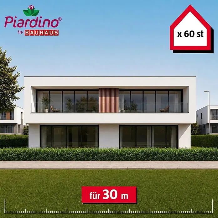 Piardino Kirschlorbeer Novita - 100 cm - 125 cm, Prunus laurocerasus 'Novita', 60 Stk. - Piardino by Bauhaus: 60 Heckenpflanzen für eine 30m grüne Hecke vor einem modernen Haus.