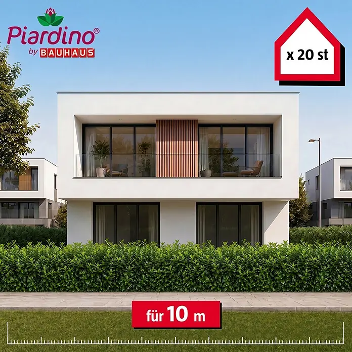 Piardino Kirschlorbeer Novita - 100 cm - 125 cm, Prunus laurocerasus 'Novita', 20 Stk. - Piardino Heckenpflanzen (20 St.) für 10m, bilden eine dichte grüne Hecke vor einem modernen Haus.