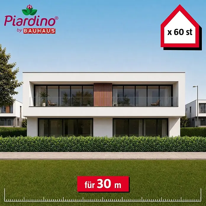 Piardino Kirschlorbeer Novita - 125 cm - 150 cm, Prunus laurocerasus 'Novita', 60 Stk. - Grüne Heckenpflanzen für eine 30 Meter lange Hecke, 60 Stück von Piardino by Bauhaus, vor einem modernen Haus.