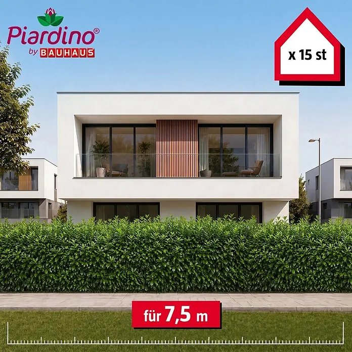 Piardino Kirschlorbeer Novita - 150 cm - 175 cm, Prunus laurocerasus 'Novita', 15 Stk. - Grüne Heckenpflanzen (Piardino by Bauhaus), 15 Stück für 7,5 Meter.