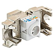 Schwaiger Netzwerk-Stecker CAT 6A Keystone Modul (Silber) | BAUHAUS